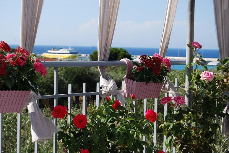 Luxury Traditional Room The Small Bookstore Kastro-Kyllini Exterior foto
